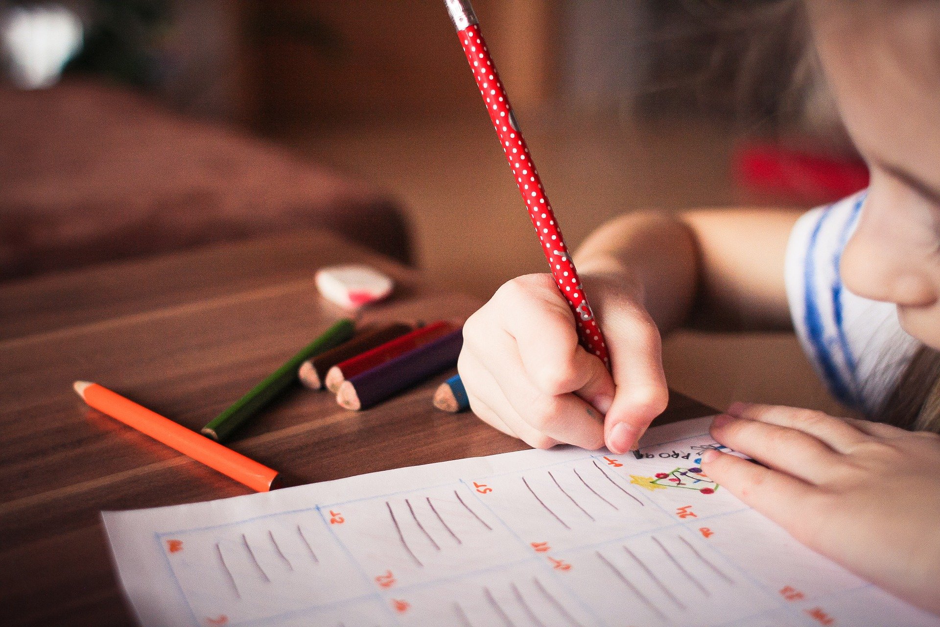 Quelle est la différence entre des cours de soutien et le tutorat ? Bischheim