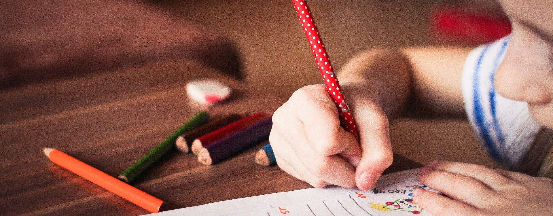 Quelle est la différence entre des cours de soutien et le tutorat ? Bischheim